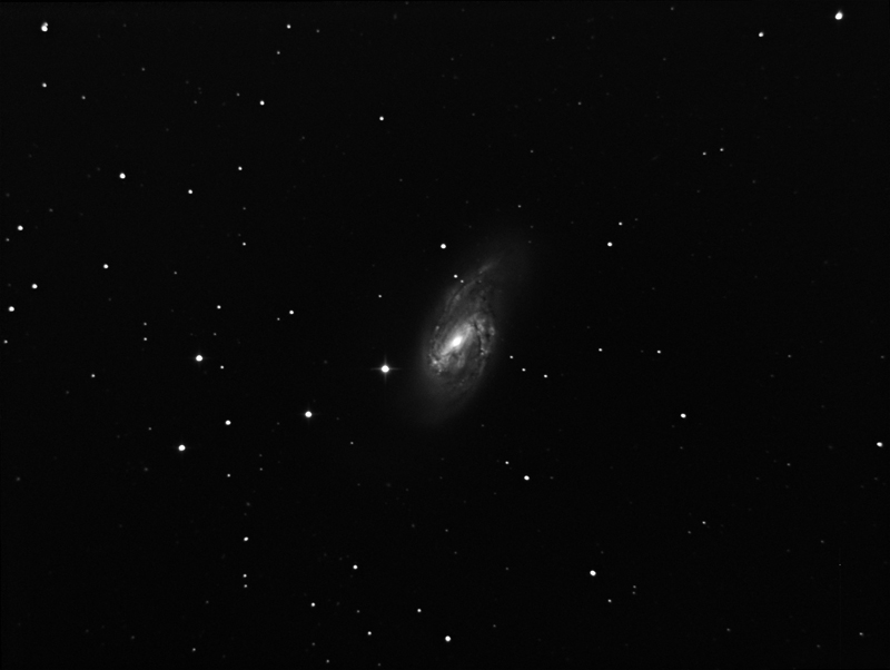 m66