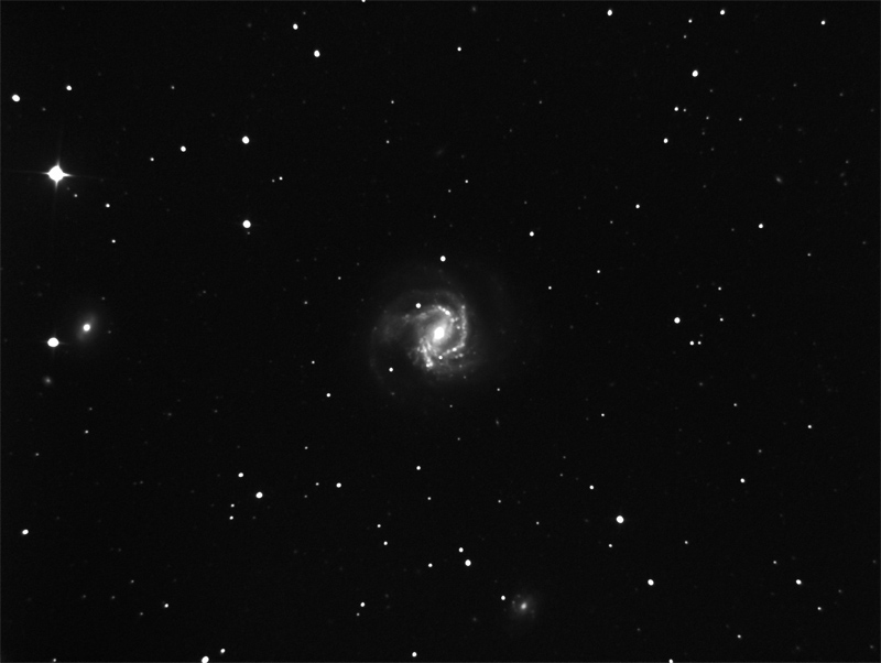 m61