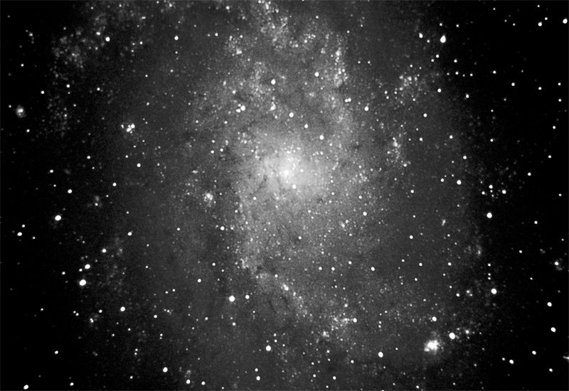 M33