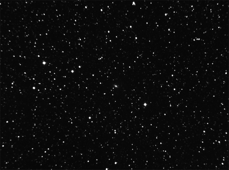 6305