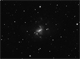 ngc1313