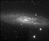 ngc253